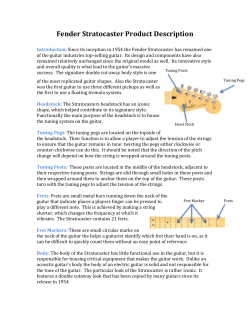 Fender Stratocaster Product Description