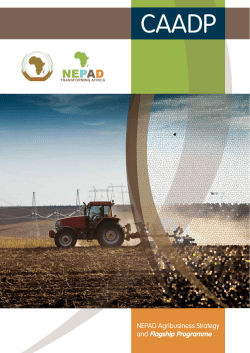 26. Agribusiness Strategy_ENG