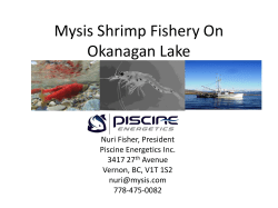 Mysis Shrimp Fishery On Okanagan Lake