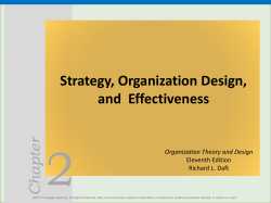 Chapter Strategy, Organization Design, and Effectiveness