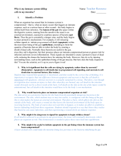Activity 1 TV in  Format