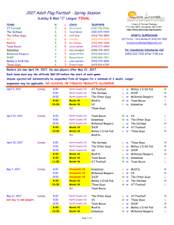 2017 Adult Flag Football