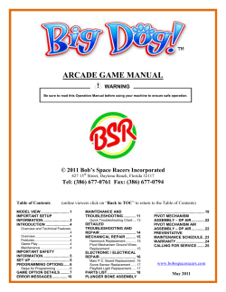 Big Dog Kiddie Dog Pounder