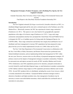 Management Strategies, Predator Occupancy, and a Declining Prey