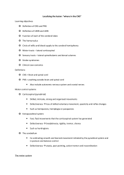 Localising the lesion: *where in the CNS*