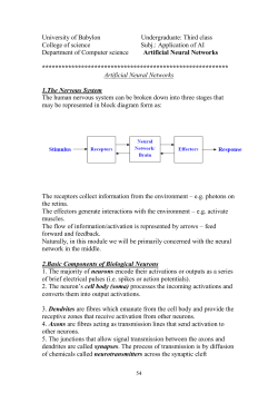University of Babylon Undergraduate: Third class