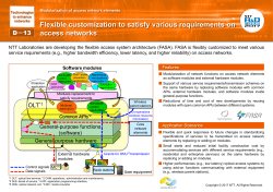Flexible customization to satisfy various requirements on access