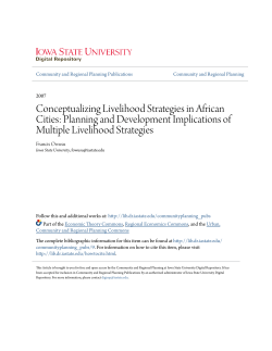 Conceptualizing Livelihood Strategies in African Cities: Planning