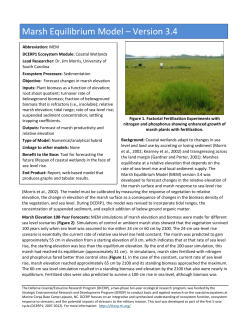 Marsh Equilibrium Model