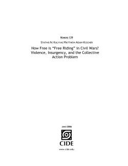 How Free is &ldquo;Free Riding&rdquo; in Civil Wars