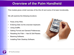 Palm Handheld - VIP Tone Homepage