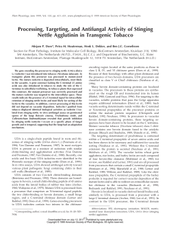 Processing, Targeting, and Antifungal Activity of