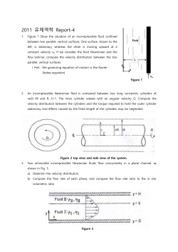 Fluid x y vo L 2011 유체역학 Report-4 Figure 1 Show the situation of