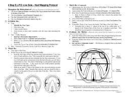 4 Step ELPO Live Sole &ndash; Hoof Mapping Protocol