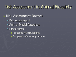 Risk Assessment in Animal Biosafety