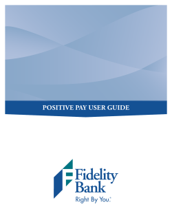 positive pay user guide
