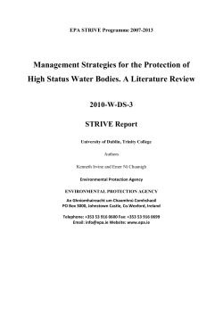 scoping and literature review