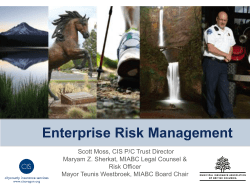 Enterprise Risk Management