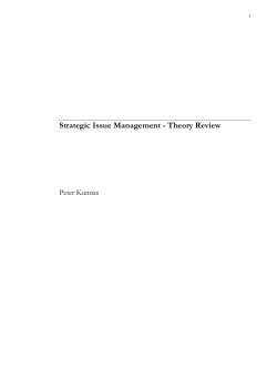 Strategic Issue Management - Theory Review