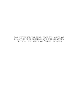 Non-equilibrium real time dynamics of quantum spin