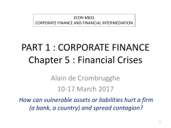 The role and limits of debt
