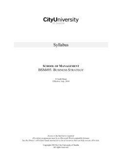 BSM 495 Business Strategy