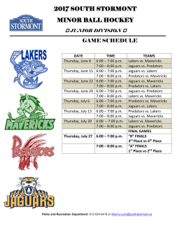 2017 south stormont minor ball hockey