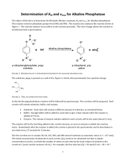 Determination of K M and v max for Alkaline