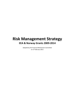 Risk Management Strategy