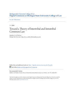 Toward a Theory of Intertribal and Intratribal Common Law