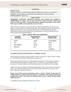 Plant Recognition: Classification and Identification of Field Crop