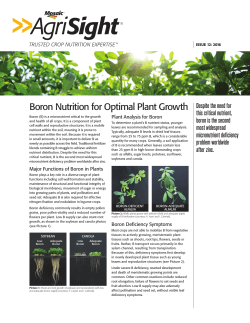 Boron Nutrition for Optimal Plant Growth