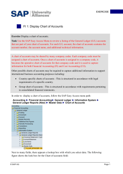 FI 2: Display Chart of Accounts II