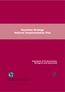 Homeless Strategy National Implementation Plan