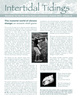 The material world of climate change: an oceanic shell game