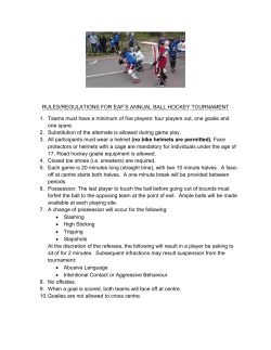 rules for our annual ball hockey tournament