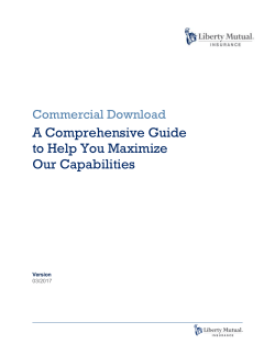 Custom Protector - Liberty Mutual &ndash; Helping You Succeed