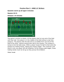 Practice Plan 3 - UMSC Lil` Strikers Dynamic warm up all ages 5