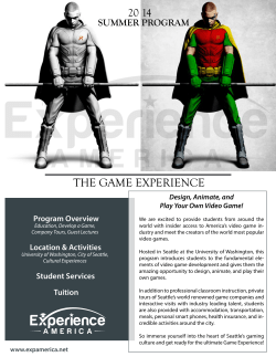 the game experience