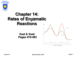 Chapter 14: Rates of Enyzmatic Reactions