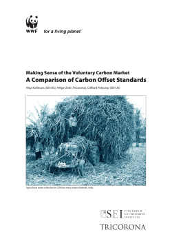 A Comparison of Carbon Offset Standards