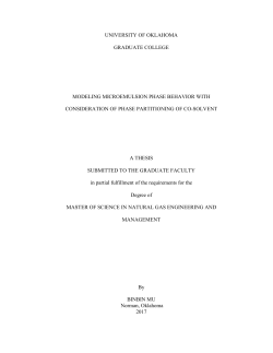 Master`s Thesis Template
