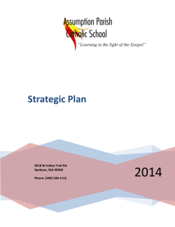 Strategic Plan - Assumption Parish Catholic School