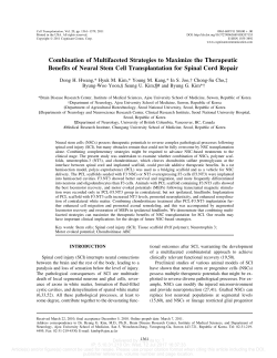 Combination of Multifaceted Strategies to Maximize the Therapeutic