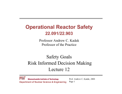 Safety Goals: Risk Informed Decision Making