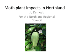 Applicant`s Presentation at hearing (2) ()