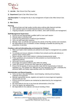 PLAY LEADER JOB DESCRIPTION