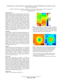 ftir imaging of the composition of territorial and interterritorial matrix