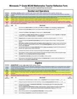 Minnesota 7th Grade MCAIII Mathematics Teacher