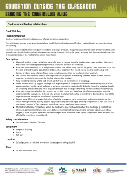 Activity - Food Web Tug